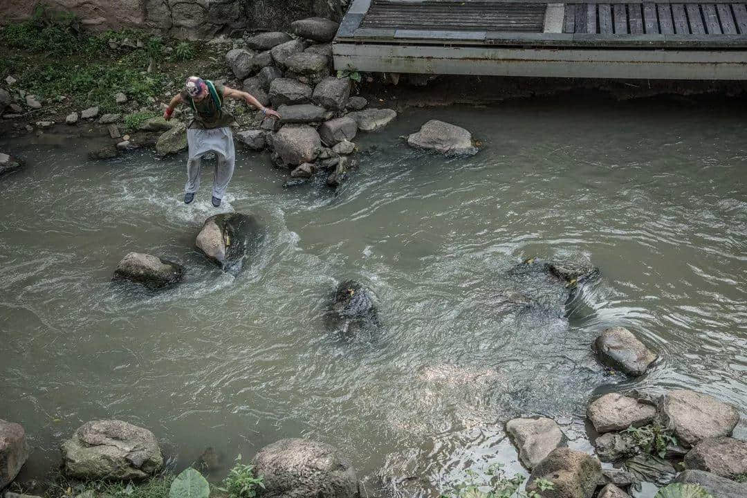 在本该跳广场舞的年纪里,他却选择了跑酷 在本该跳广场舞的年纪里,他却选择了跑酷