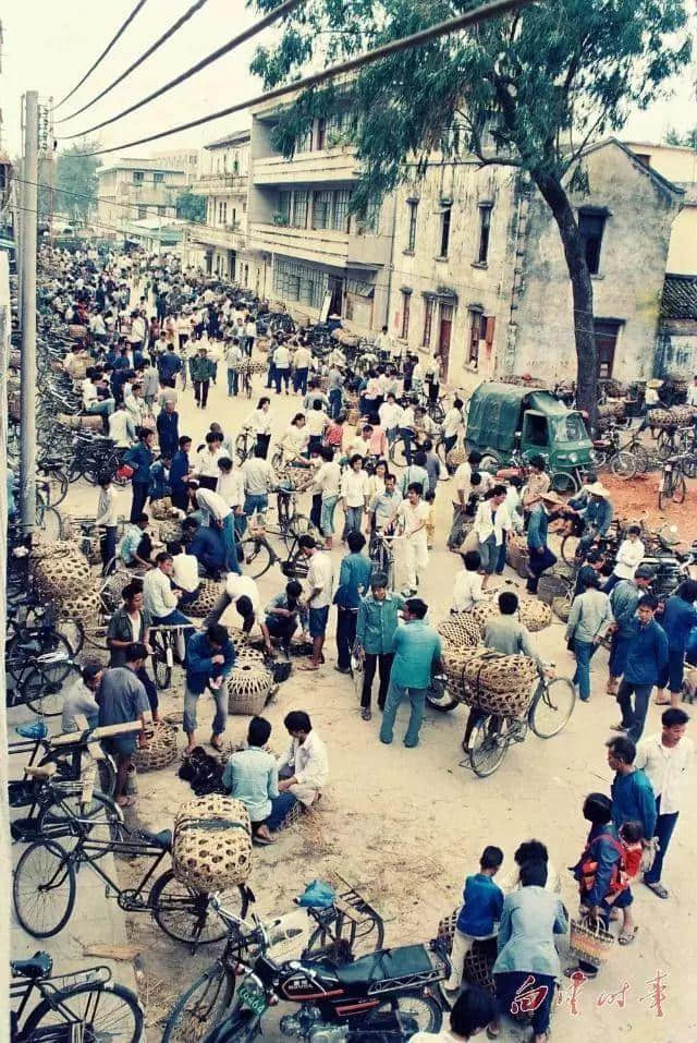 魔幻白云区现形记 魔幻白云区现形记