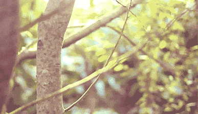 踏青来撒野 玩尽好时光! 踏青来撒野 玩尽好时光!