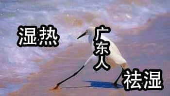 广东,一个来了就会湿的省份 广东,一个来了就会湿的省份