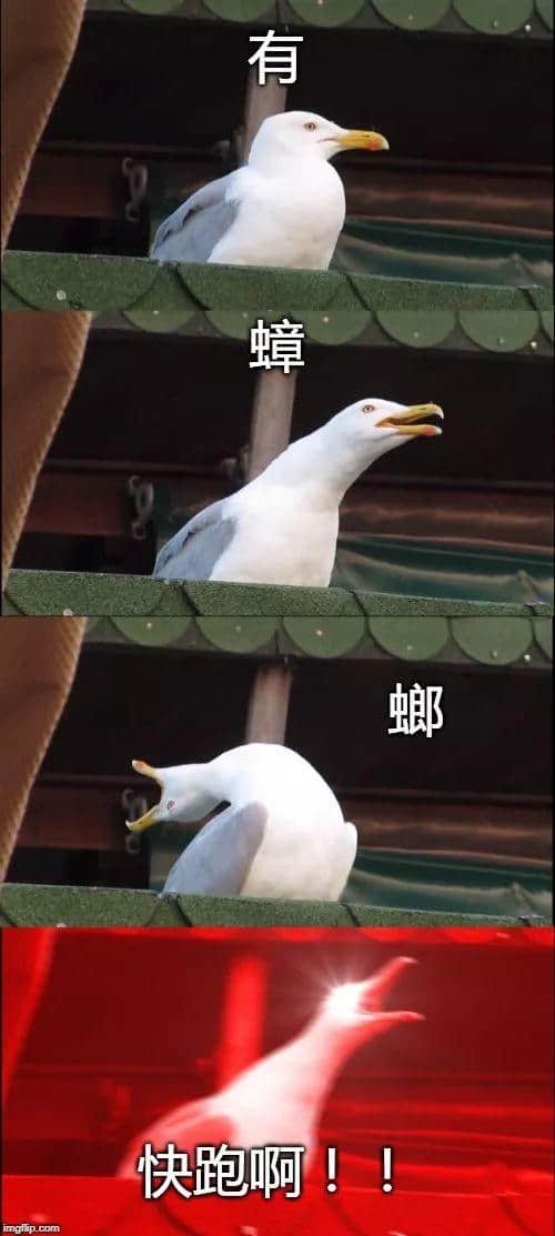 广州,一座靠天气上热搜嘅佛系城市|一句话神总结广州 广州,一座靠天气上热搜嘅佛系城市|一句话神总结广州