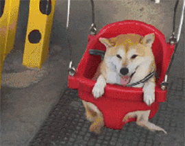 广州,一座靠天气上热搜嘅佛系城市|一句话神总结广州 广州,一座靠天气上热搜嘅佛系城市|一句话神总结广州