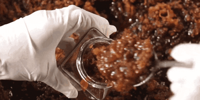 吃完广东XO酱,从此扔掉老干妈! 吃完广东XO酱,从此扔掉老干妈!