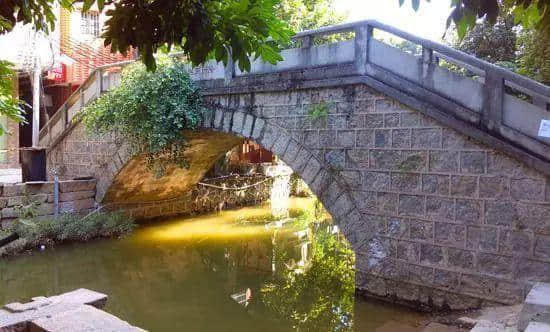 沦为城中村的文艺水乡 沦为城中村的文艺水乡