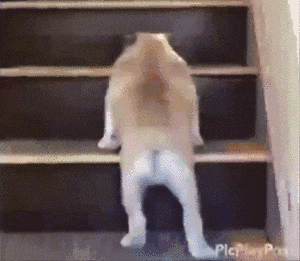 12个过气童年游戏，每一款都是广东人的回忆杀！