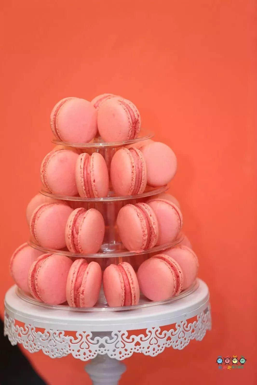 “感恩•臻爱•成长——两店同庆 感恩遇见” 暨吐泡泡亲子游泳俱乐部番禺店周年庆 “感恩•臻爱•成长——两店同庆 感恩遇见” 暨吐泡泡亲子游泳俱乐部番禺店周年庆