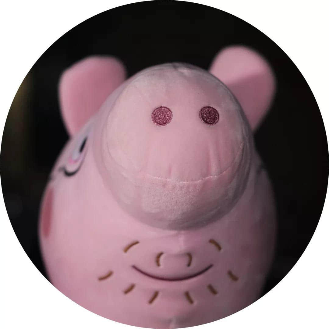 大城市的年轻人连自己都养不活,为什么还要养宠物? 大城市的年轻人连自己都养不活,为什么还要养宠物?