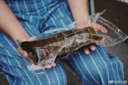 广东粽子大battle,你拣边一“粽”? 广东粽子大battle,你拣边一“粽”?