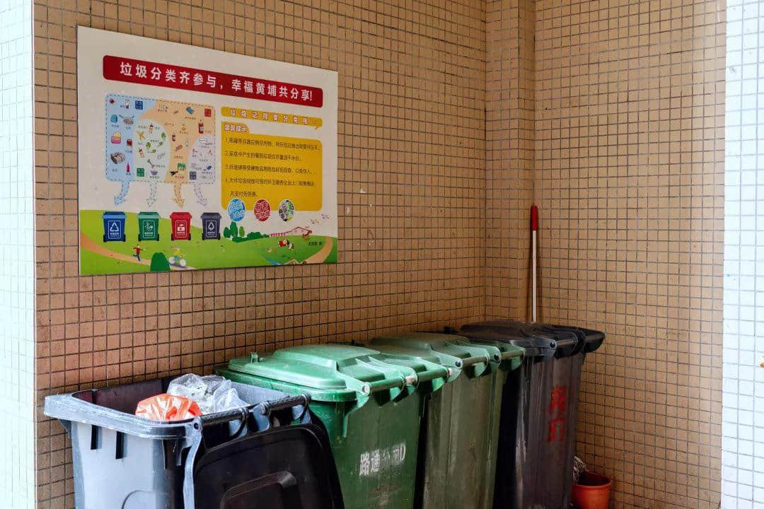 我们走上街头,体验了一下广州的垃圾分类 我们走上街头,体验了一下广州的垃圾分类