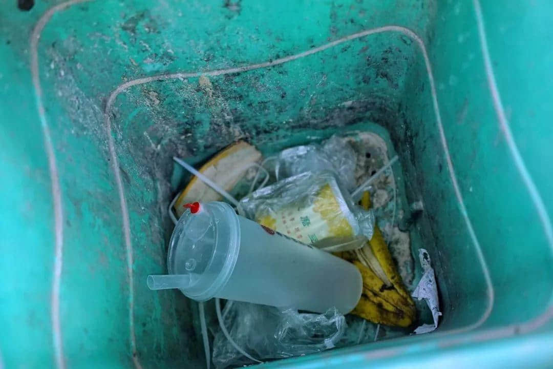 我们走上街头,体验了一下广州的垃圾分类 我们走上街头,体验了一下广州的垃圾分类