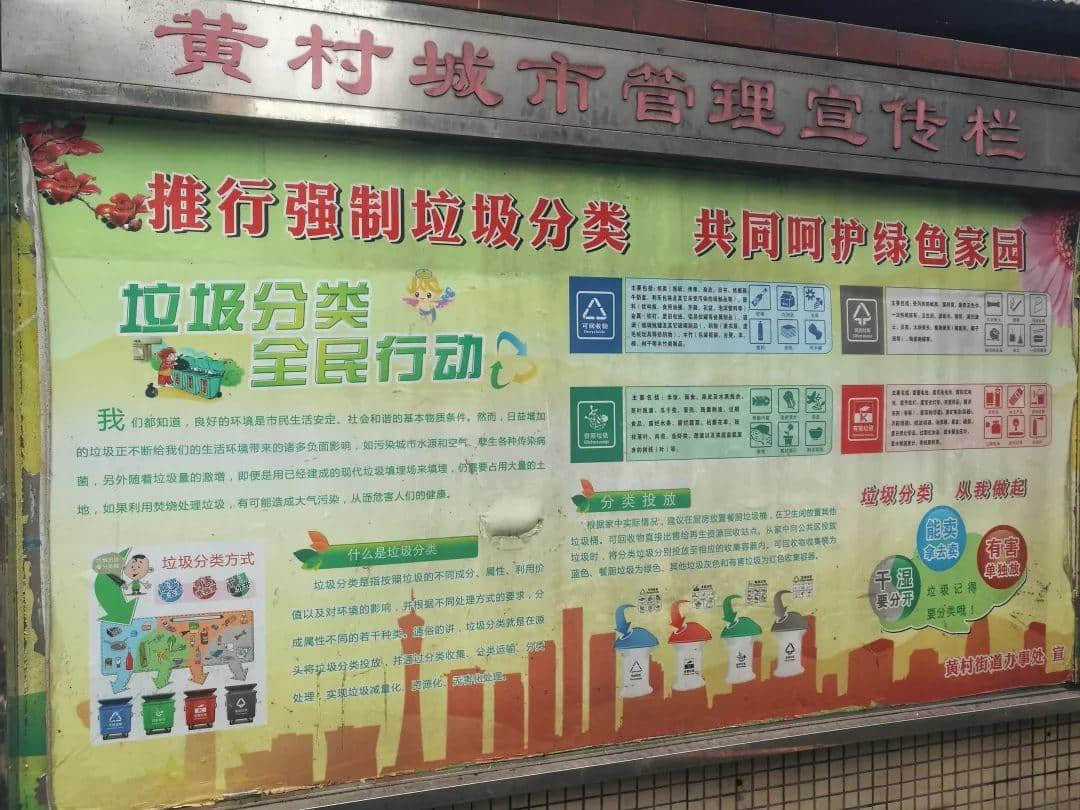 我们走上街头,体验了一下广州的垃圾分类 我们走上街头,体验了一下广州的垃圾分类