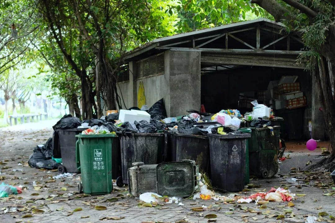 我们走上街头,体验了一下广州的垃圾分类 我们走上街头,体验了一下广州的垃圾分类