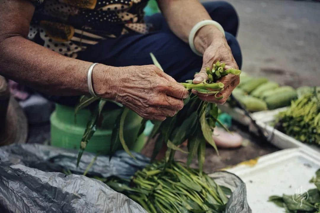 最后的沥滘菜农 最后的沥滘菜农