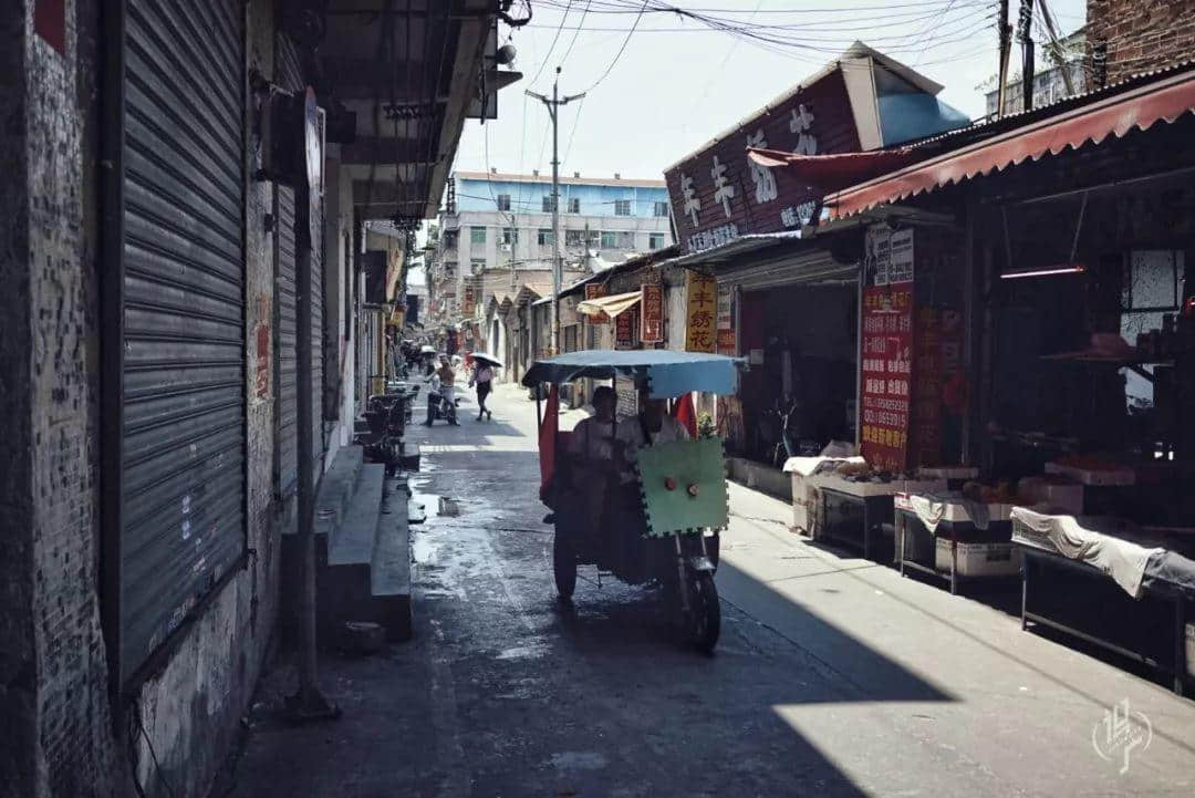 最后的沥滘菜农 最后的沥滘菜农