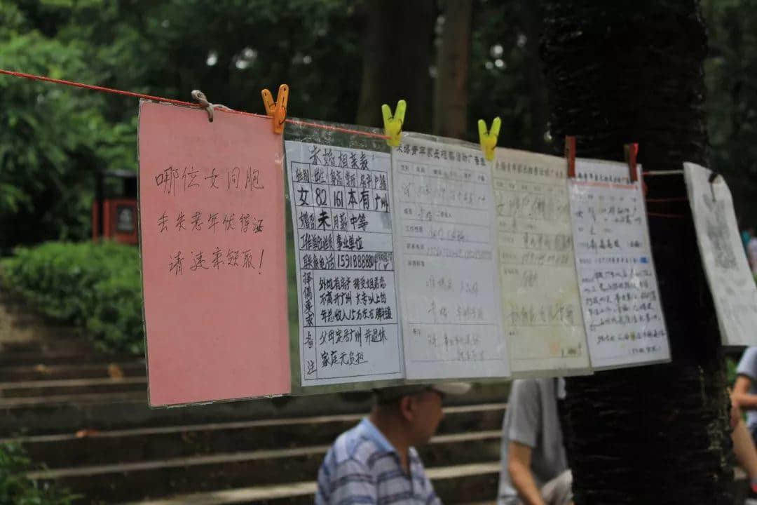 天河公园相亲角,大爷大妈唱主角 天河公园相亲角,大爷大妈唱主角