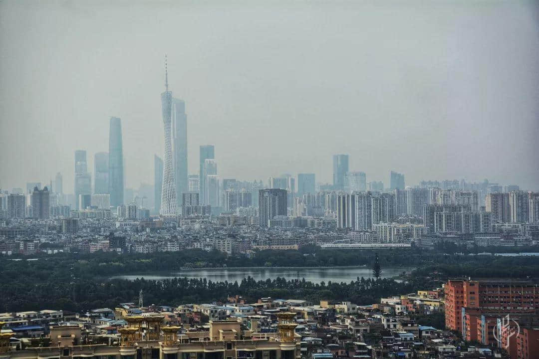 最后的沥滘菜农 最后的沥滘菜农