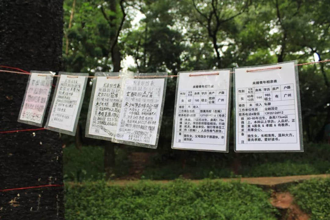 天河公园相亲角,大爷大妈唱主角 天河公园相亲角,大爷大妈唱主角