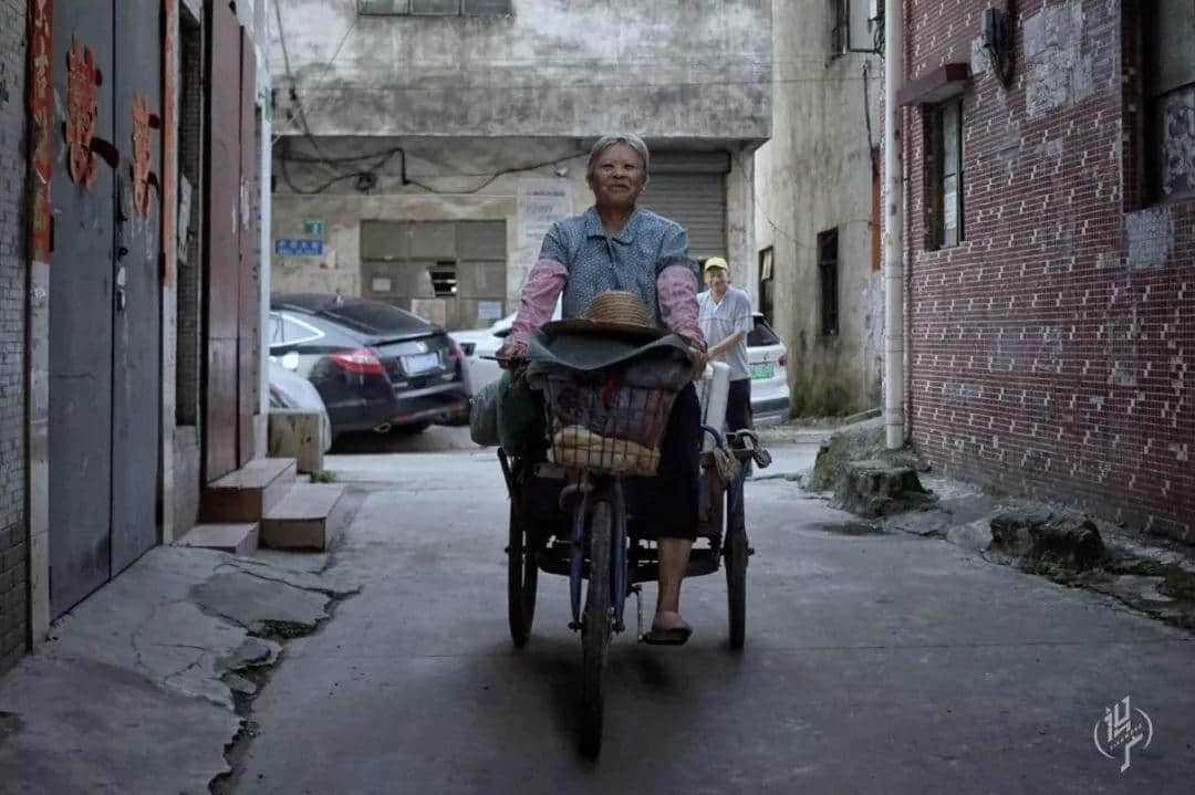 最后的沥滘菜农 最后的沥滘菜农