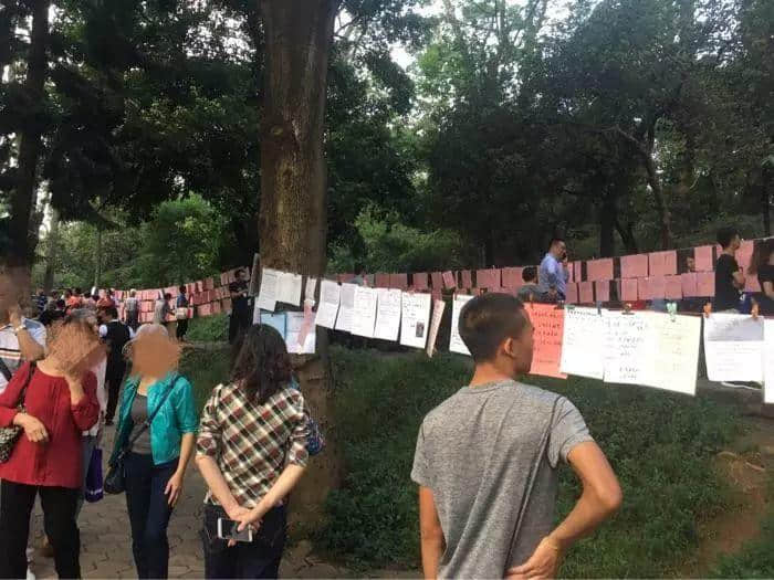 天河公园相亲角,大爷大妈唱主角 天河公园相亲角,大爷大妈唱主角