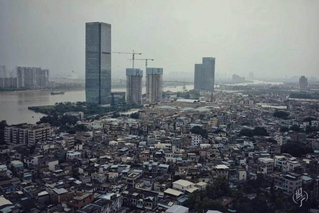 最后的沥滘菜农 最后的沥滘菜农