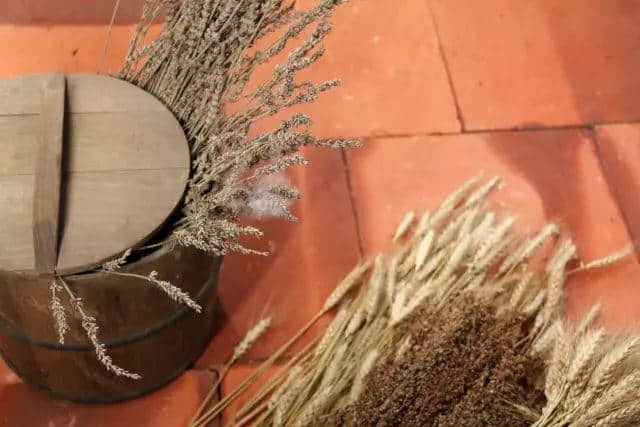 【欣知食】| “十年老菜脯，一口就想哭”，潮汕老饕说《潮汕老厝》