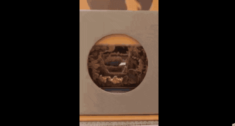 广式月饼凭什么能一统江湖? 广式月饼凭什么能一统江湖?