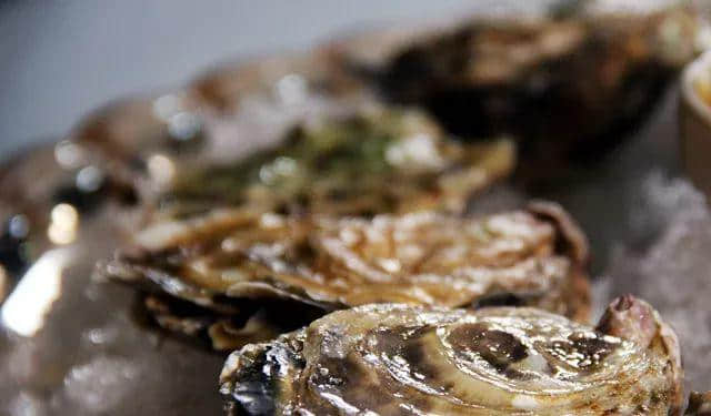 【欣知食】| 吃生蚝，也要经历冰火两重天？