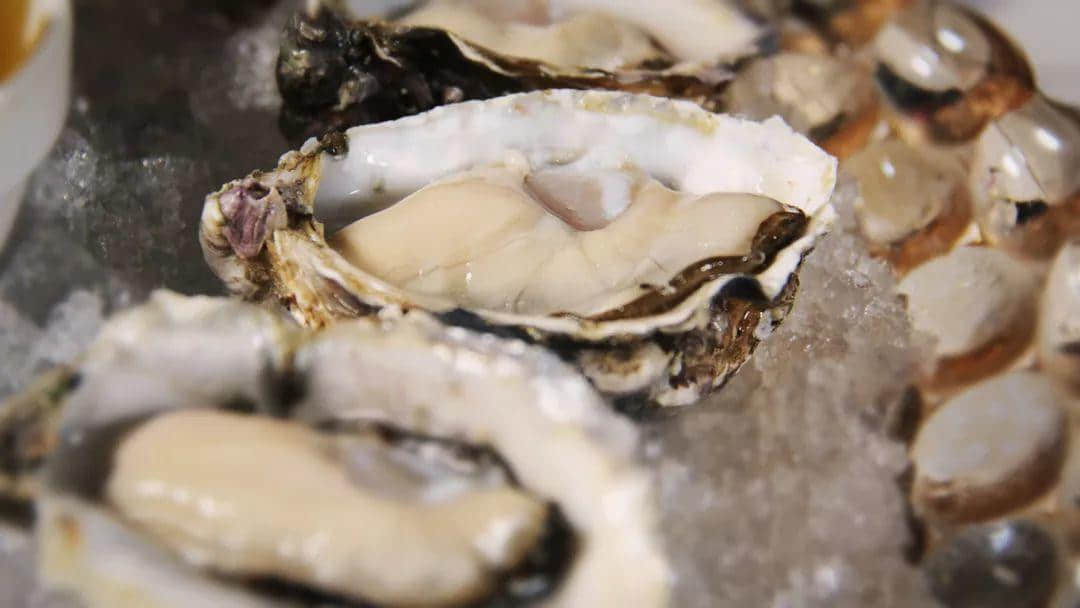【欣知食】| 吃生蚝，也要经历冰火两重天？