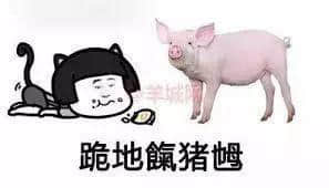 秋风起，食你卤味