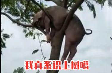 秋风起，食你卤味