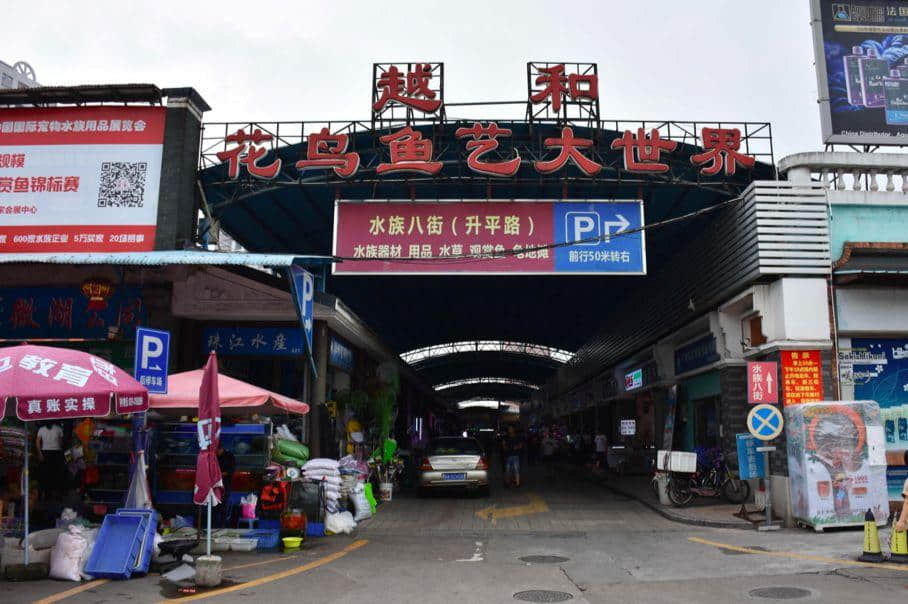 芳村还能存在多久? 芳村还能存在多久?