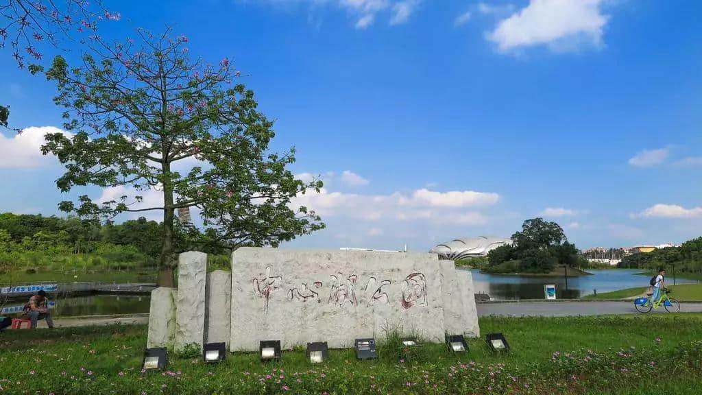 大学城拆迁15年:有人奔驰宝马,有人扫地营生 大学城拆迁15年:有人奔驰宝马,有人扫地营生