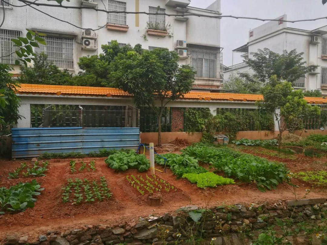 大学城拆迁15年:有人奔驰宝马,有人扫地营生 大学城拆迁15年:有人奔驰宝马,有人扫地营生