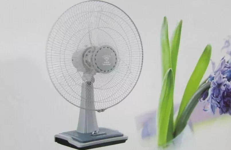 美食主播刘澄霖:广货不仅要实用,还要有颜值 美食主播刘澄霖:广货不仅要实用,还要有颜值