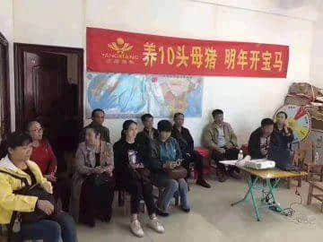 秋风起，食你卤味