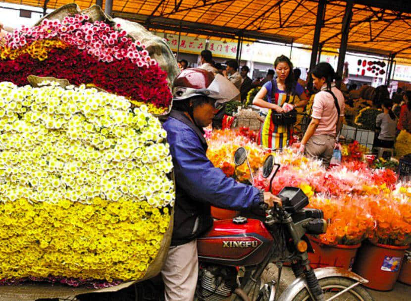 芳村还能存在多久? 芳村还能存在多久?