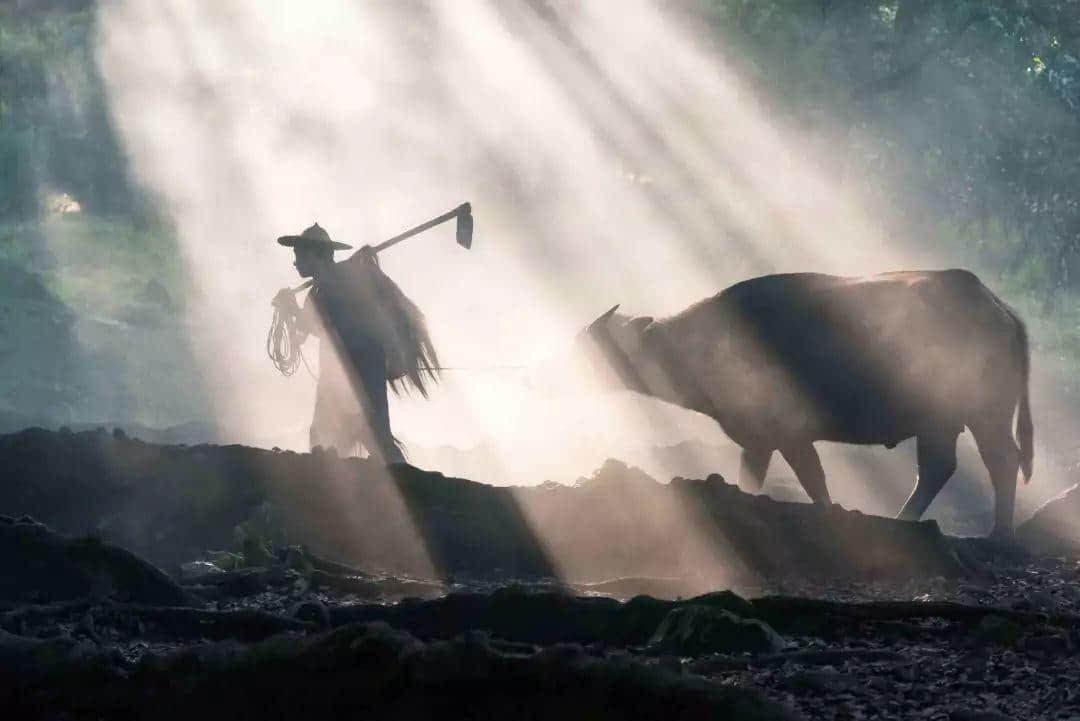 在广东,冬至劝广东人吃饺子是要挨揍的! 在广东,冬至劝广东人吃饺子是要挨揍的!