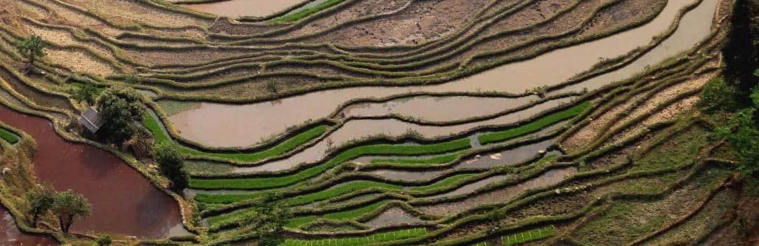 今年八月,我去了趟云南红河州 今年八月,我去了趟云南红河州