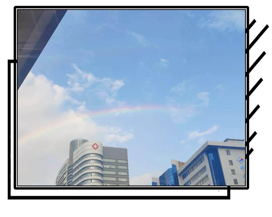 2019,爱广州的19个理由 2019,爱广州的19个理由