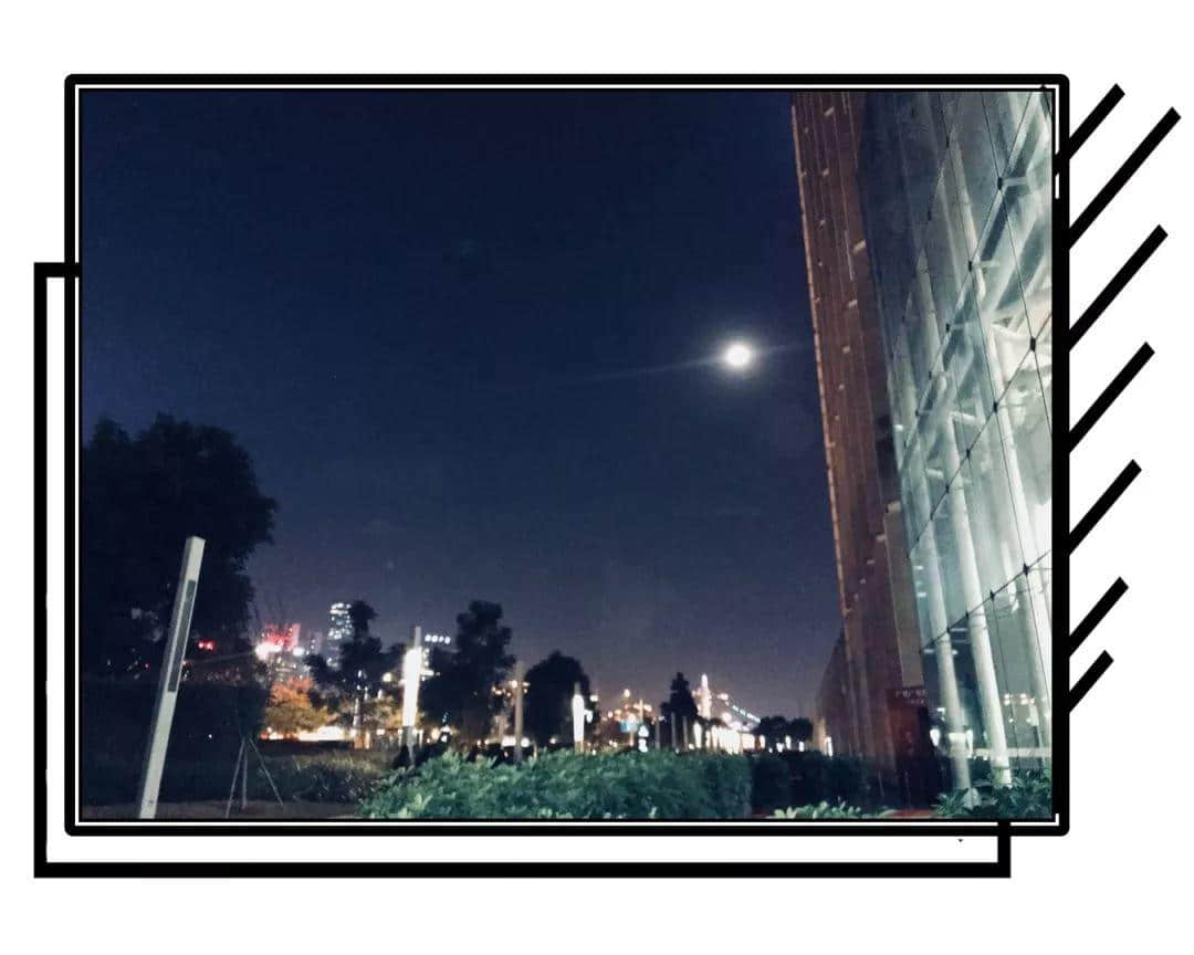 2019,爱广州的19个理由 2019,爱广州的19个理由