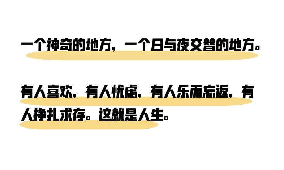 2019,爱广州的19个理由 2019,爱广州的19个理由