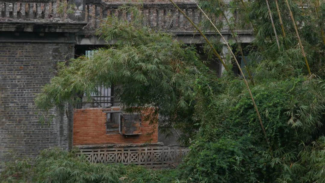 西关大屋,到底长什么样? 西关大屋,到底长什么样?