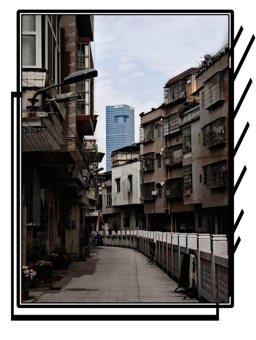 2019,爱广州的19个理由 2019,爱广州的19个理由