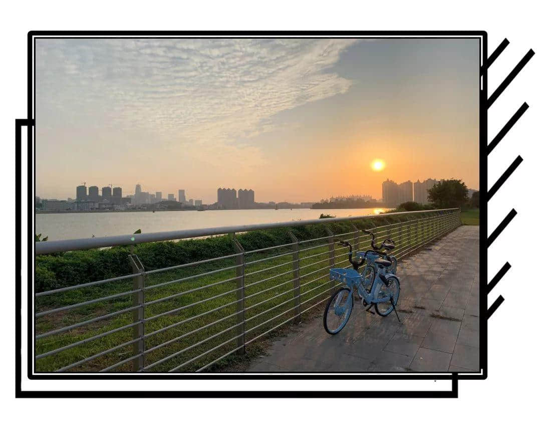 2019,爱广州的19个理由 2019,爱广州的19个理由