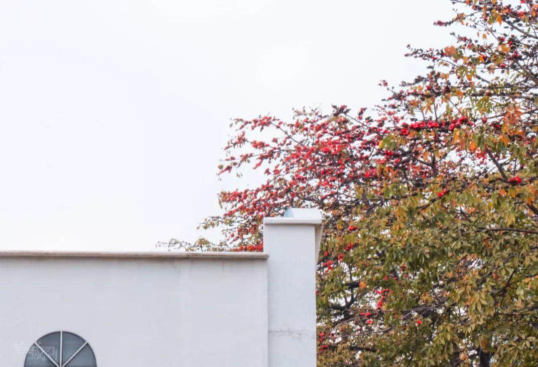 情人节的广州街头,没有情人 情人节的广州街头,没有情人