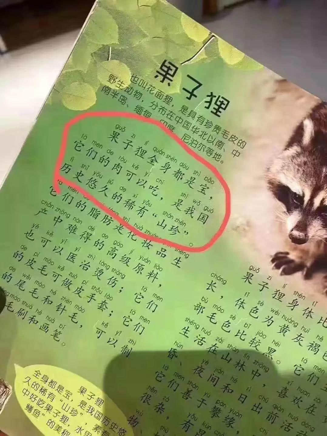 再震撼的奥斯卡电影,都比不上2020魔幻新闻 再震撼的奥斯卡电影,都比不上2020魔幻新闻