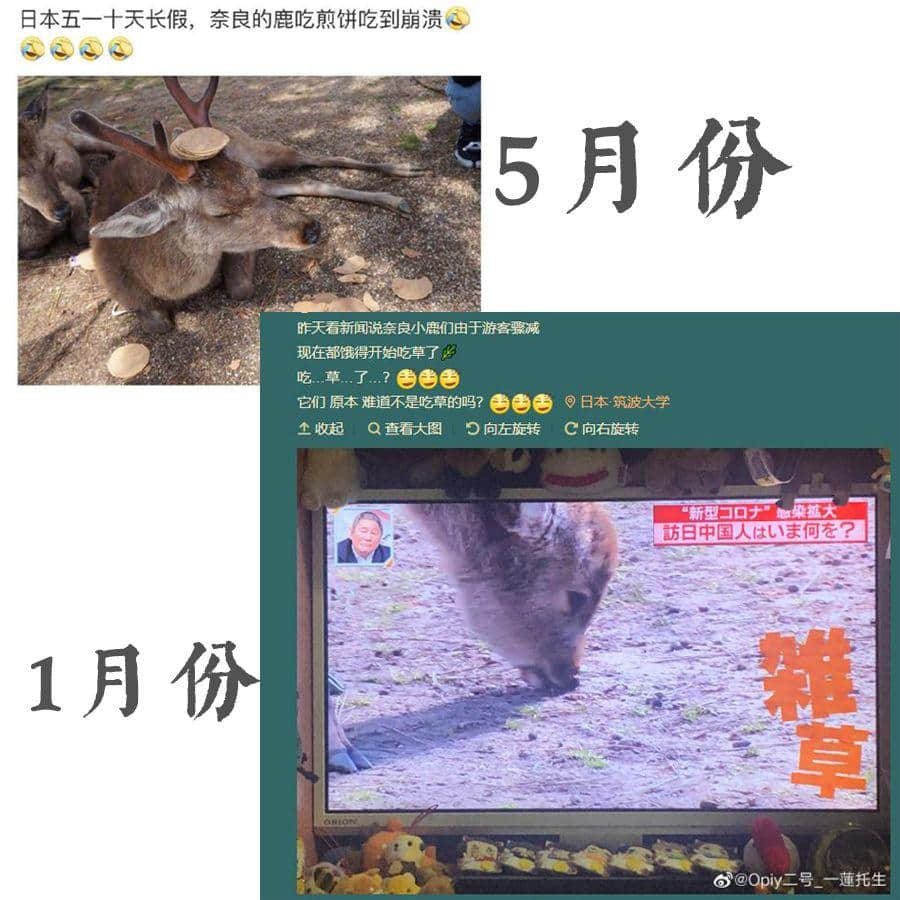 经过这个超长假期,谁能不服广东人的创造力! 经过这个超长假期,谁能不服广东人的创造力!