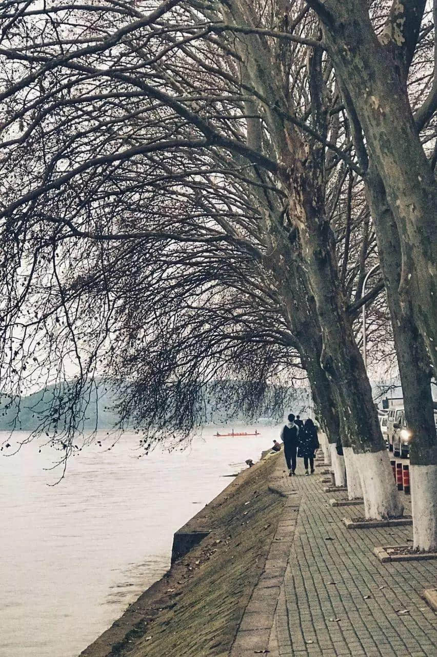 武汉印象 武汉印象