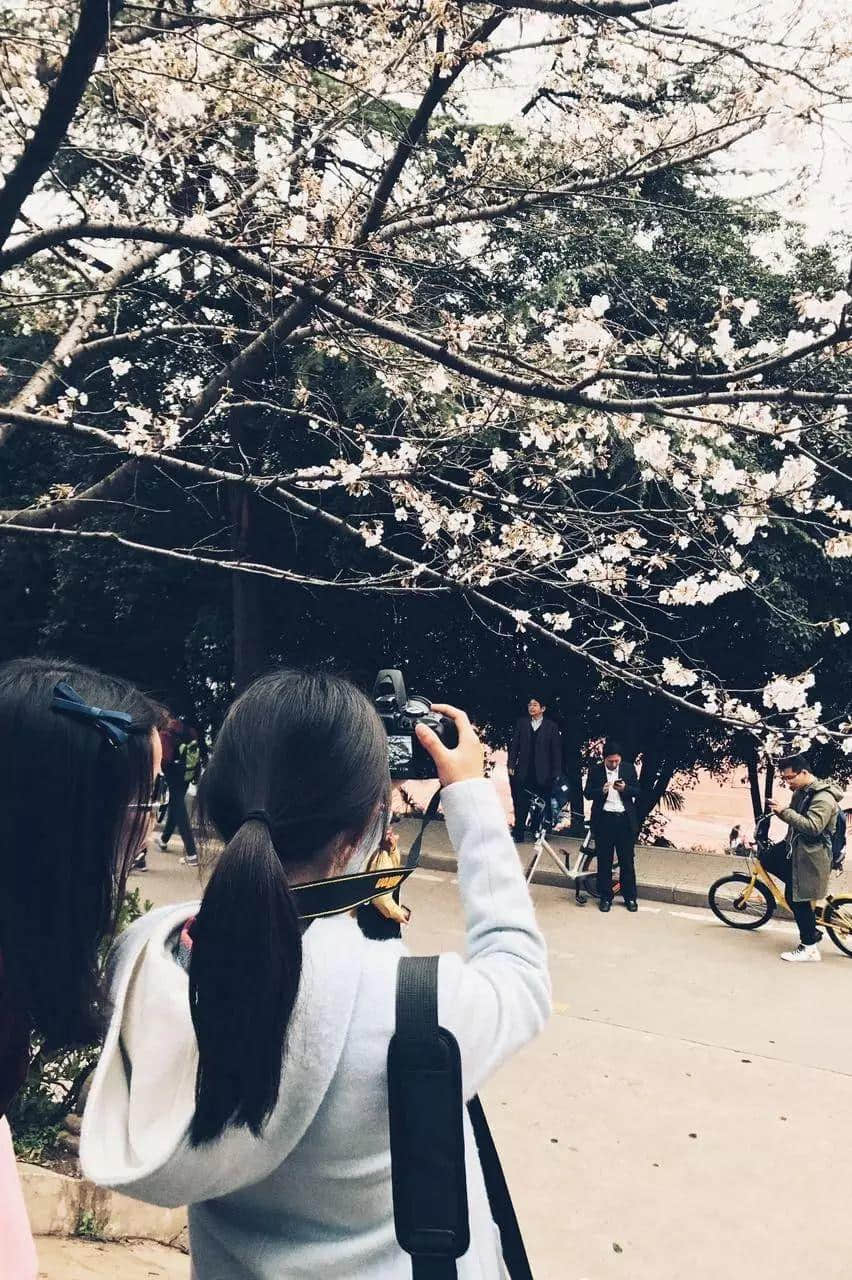 武汉印象 武汉印象