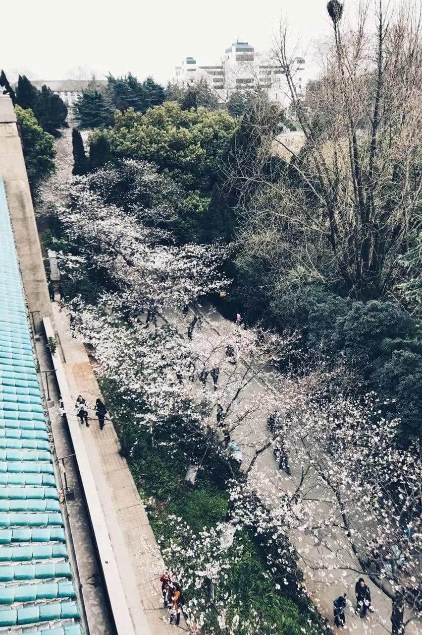 武汉印象 武汉印象